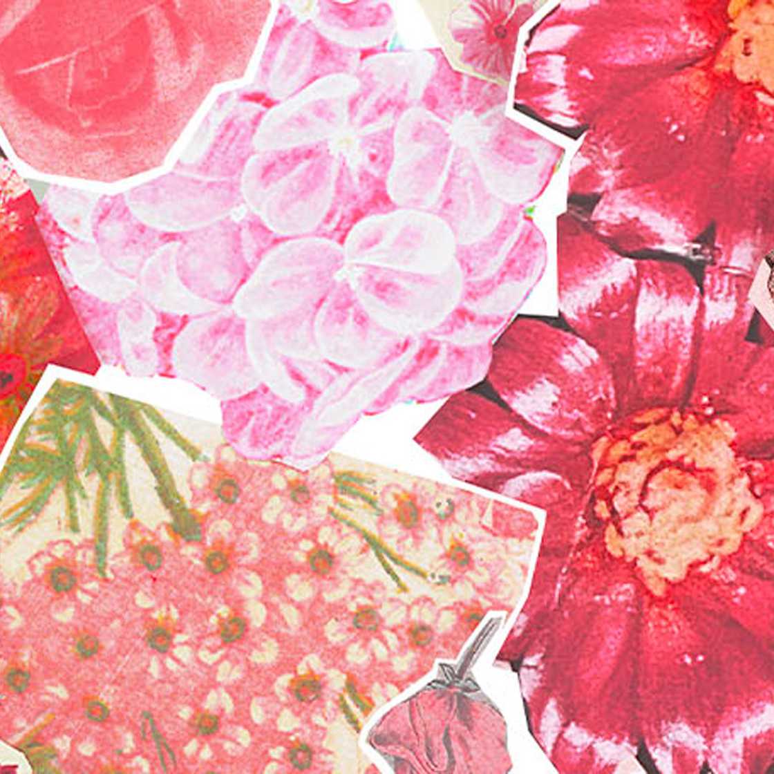 Marni floral pattern