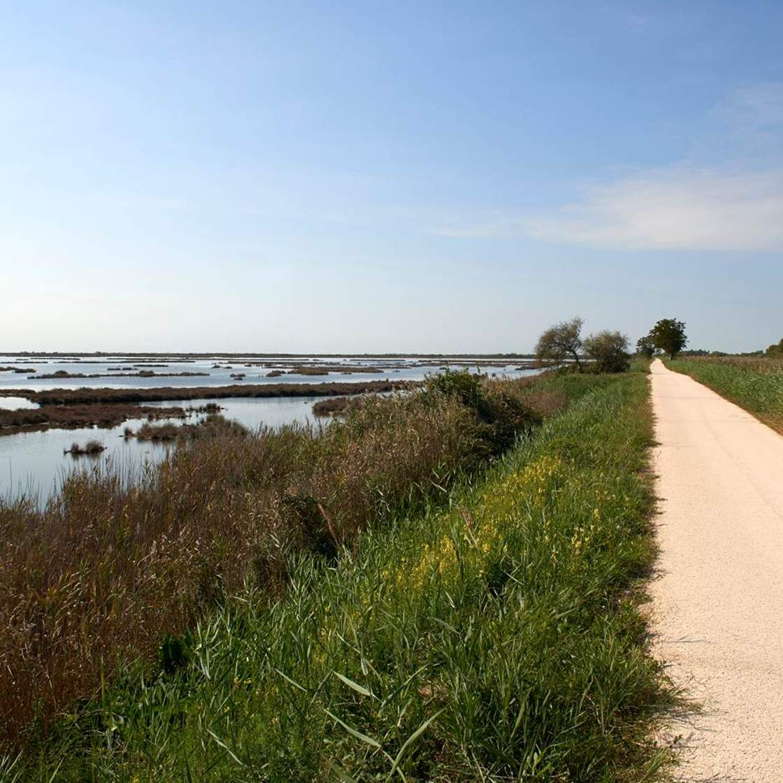 basso piave