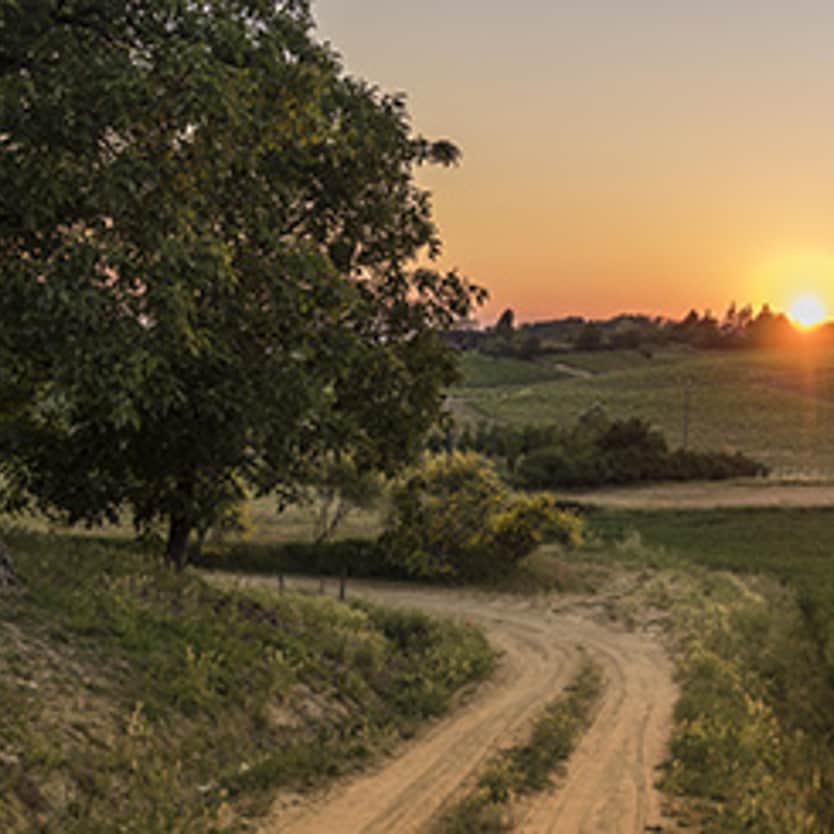 monferrato