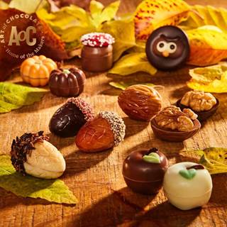 Outletpreis €16.75 - Herbstschokolade