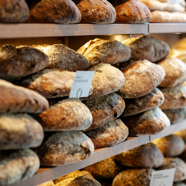 McArthurGlen Autumn Winter 2024