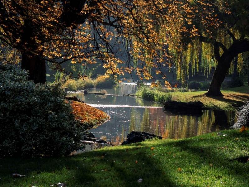 Parc Barbieux