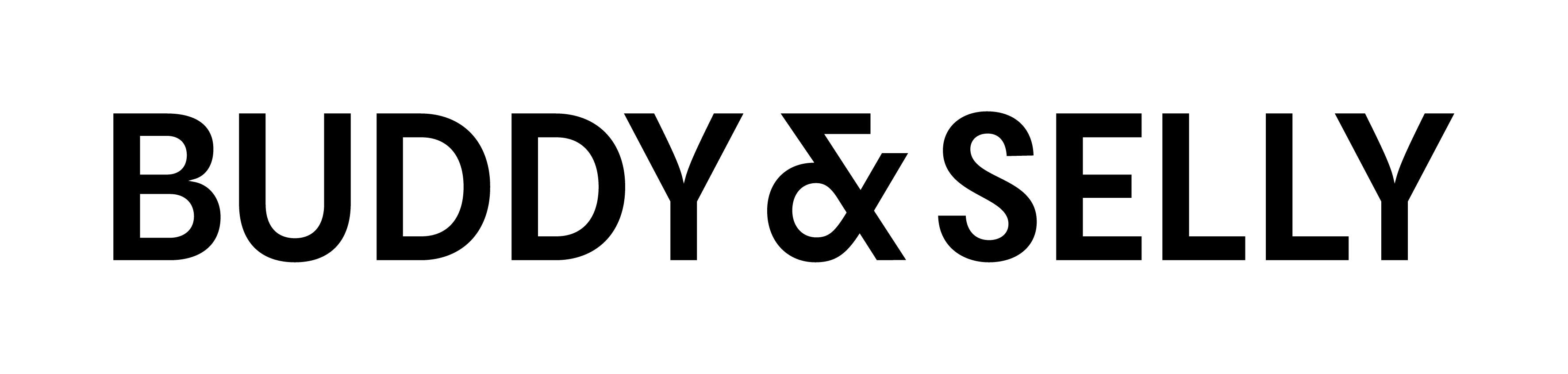B&S_LOGO_Lang_Schwarz_30.png