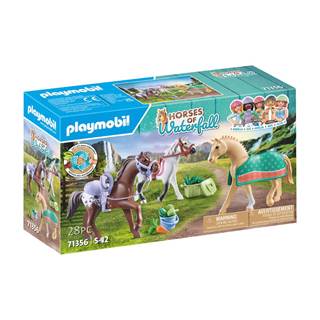 3 horses: Morgan, Quarter Horse & Shagya | outlet price € 13,99